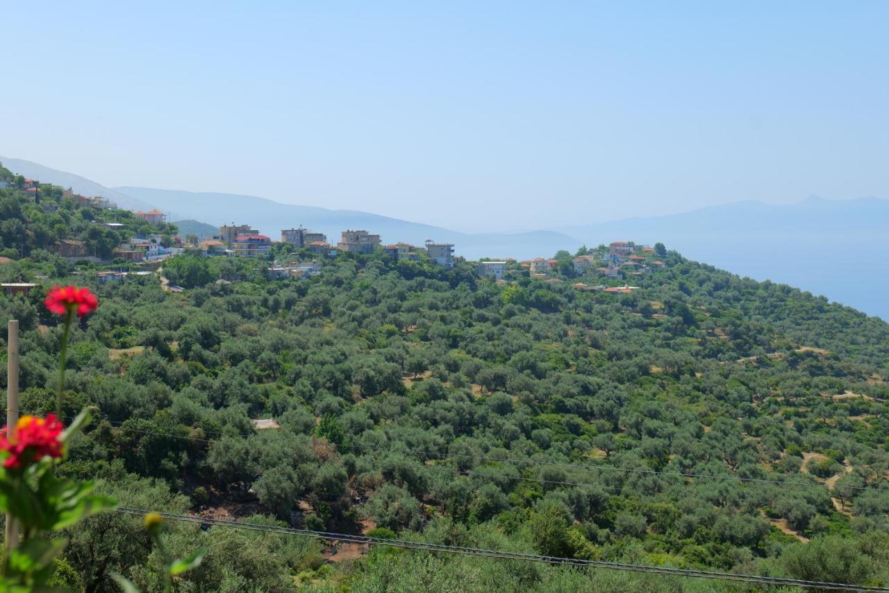 Vila Panorama Piqeras Bed & Breakfast Екстериор снимка