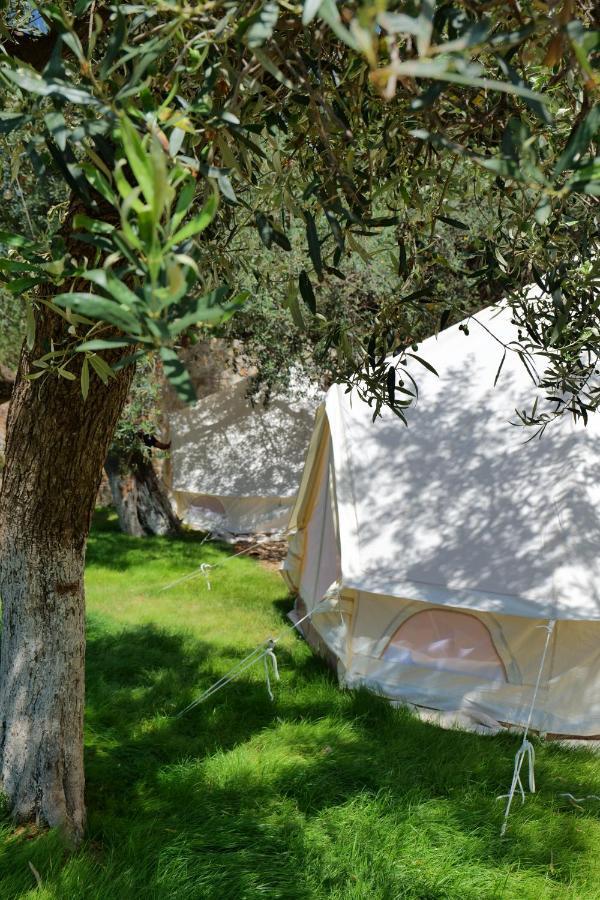 Vila Panorama Piqeras Bed & Breakfast Екстериор снимка