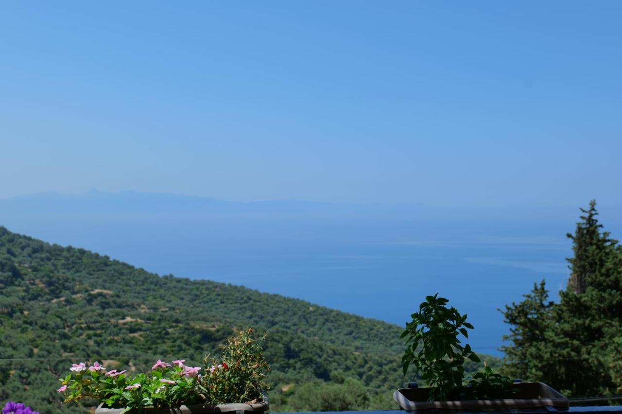 Vila Panorama Piqeras Bed & Breakfast Екстериор снимка